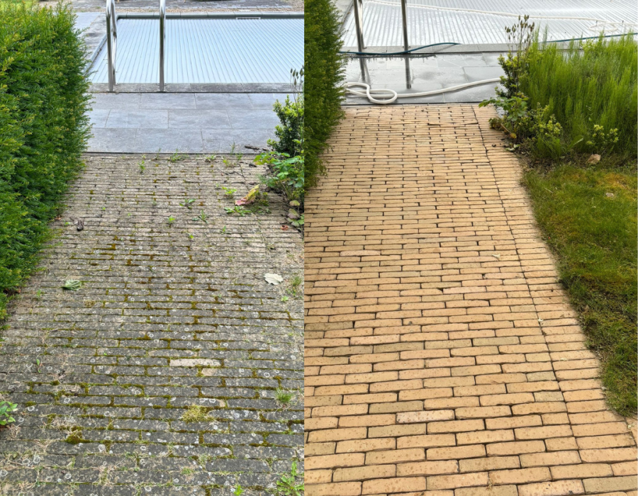 SoftWash Systems (11)