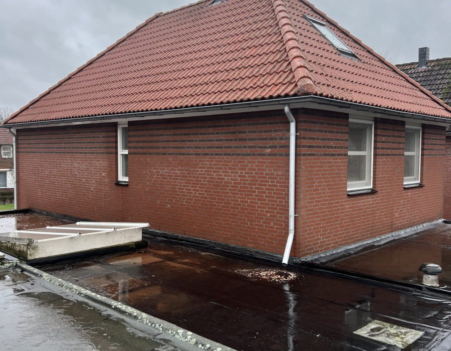 SoftWash Systems (37)