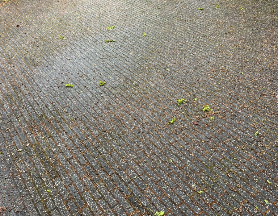 SoftWash Systems (48)