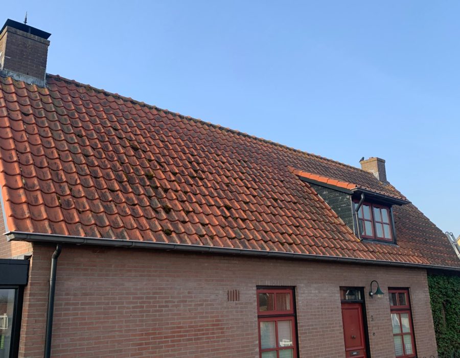 SoftWash Systems (5)